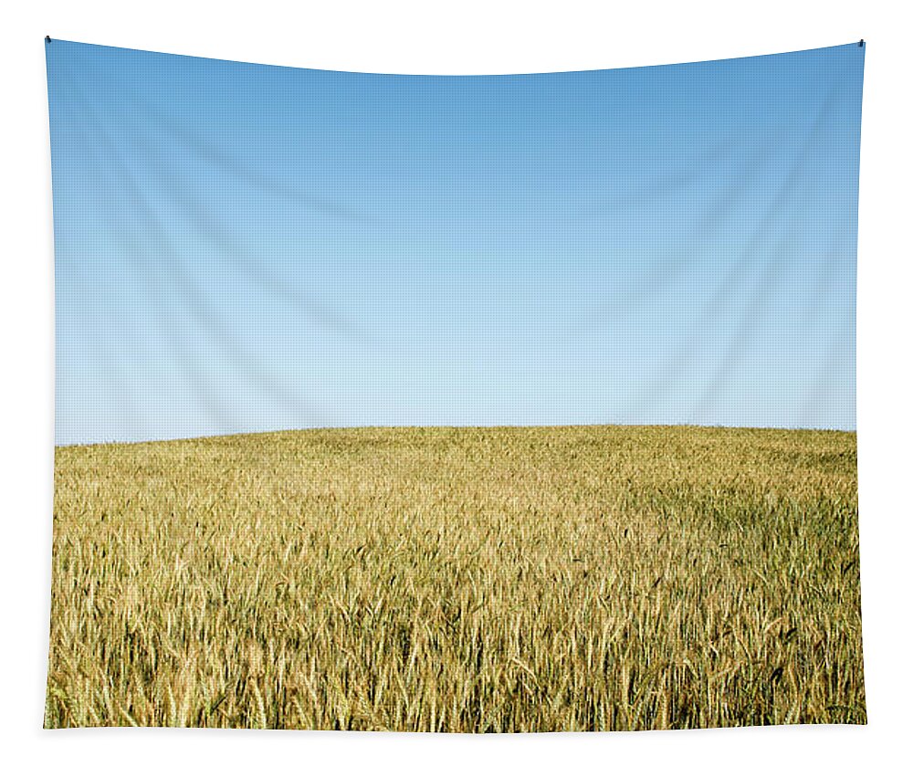 Nature Landscape Tapestry featuring the photograph Nature landscape background by Michalakis Ppalis