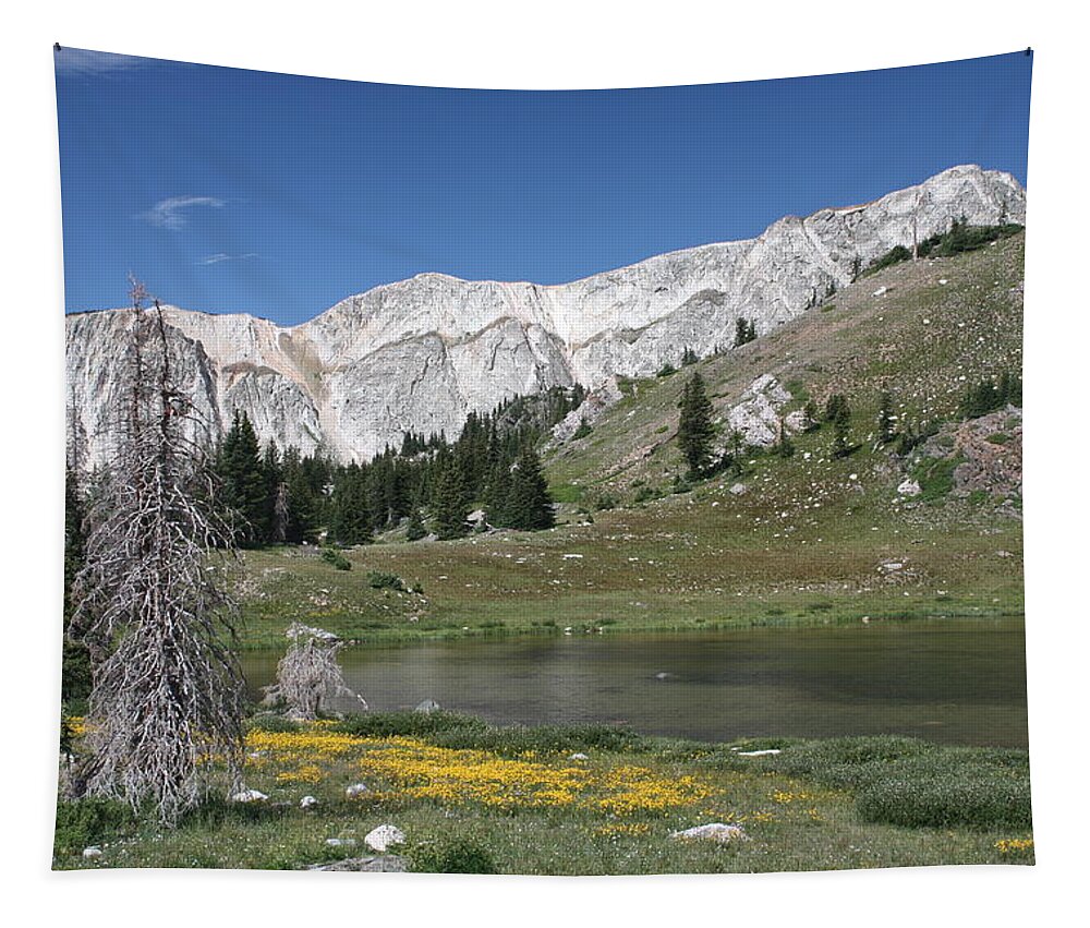 Medicine Bow Mountains Snowy Range Wyoming Quartzite Landscape Tapestry featuring the photograph Medicine Bow Peak by Barbara Smith-Baker