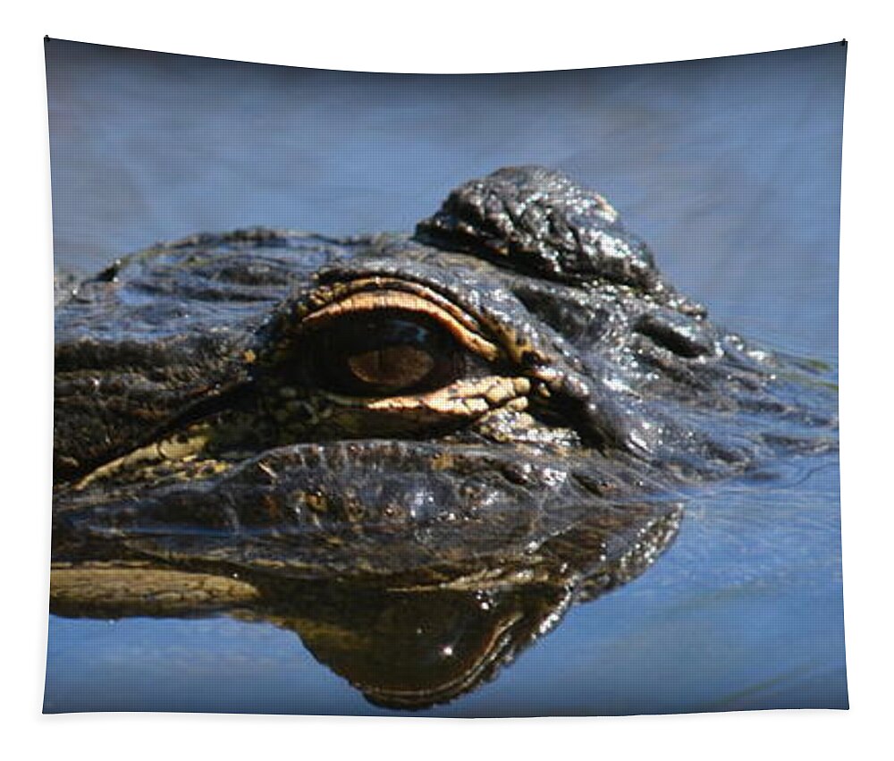  Tapestry featuring the photograph Menacing Alligator by Kimberly Woyak