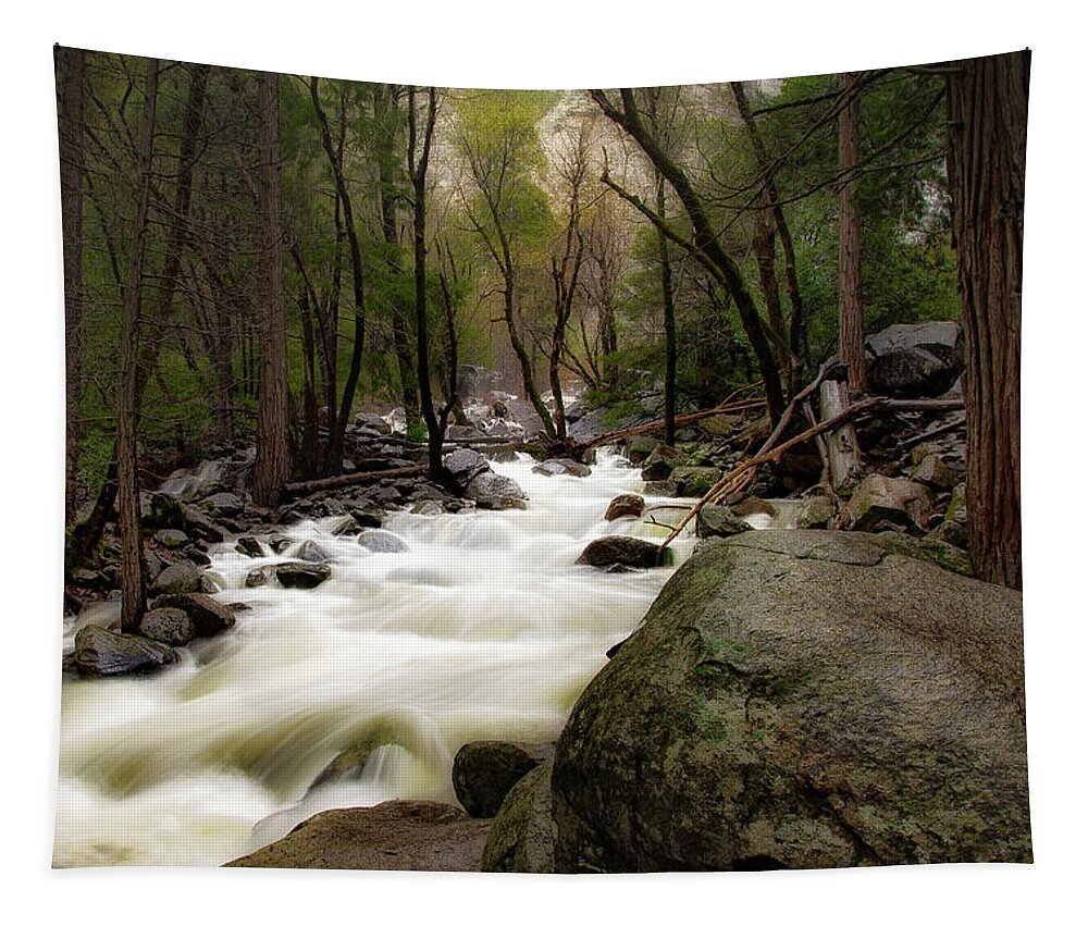 Merced River Tapestry featuring the photograph Merced River by C Renee Martin
