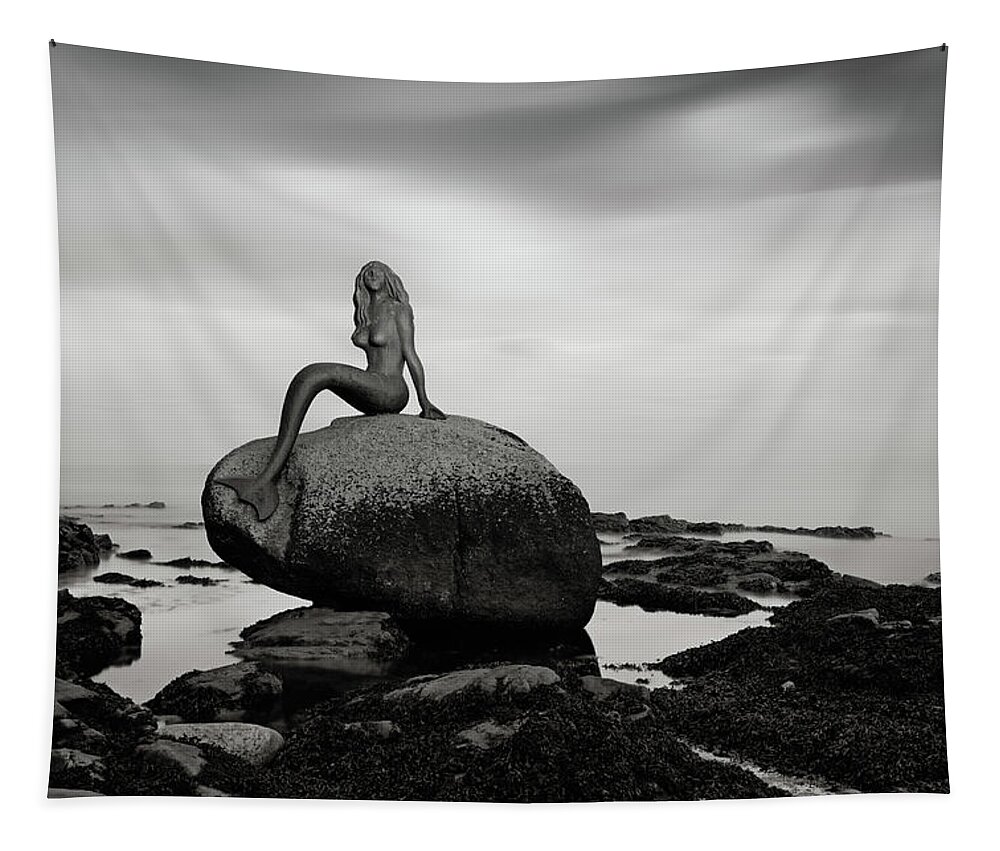 Mermaid Tapestry featuring the photograph Mermaid of the north mono by Grant Glendinning