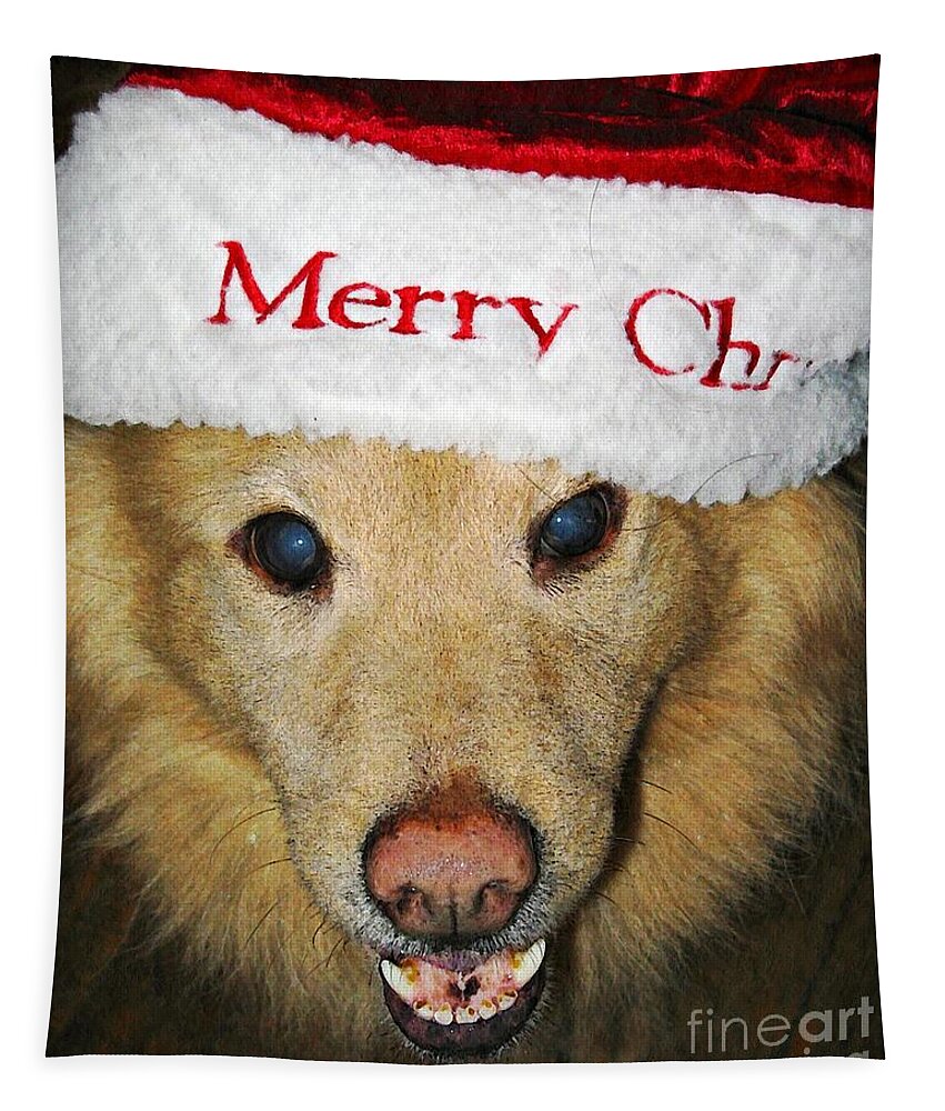 Dog Tapestry featuring the photograph Merry Christmas by Sarah Loft