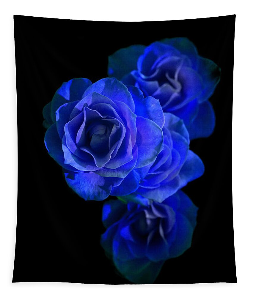 Blossom Tapestry featuring the photograph Midnight Roses by David Andersen