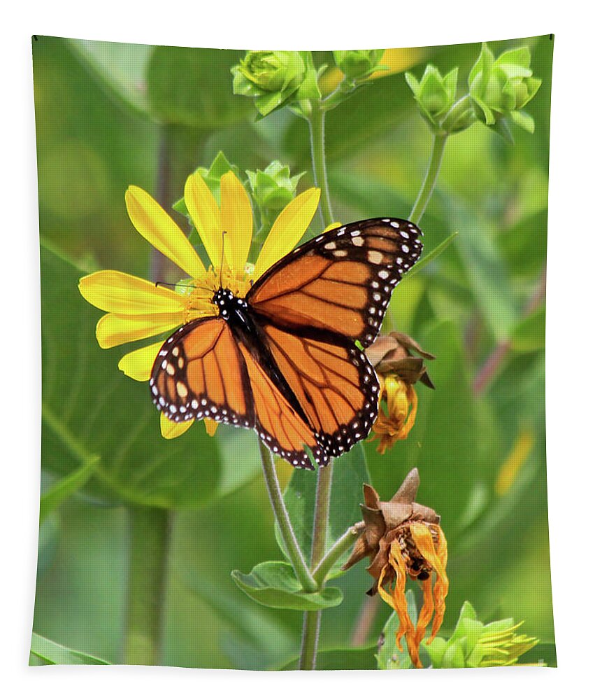 Monarch Butterfly Tapestry featuring the photograph Mighty Monarch  by Paula Guttilla