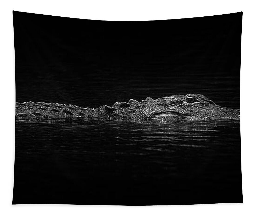 Alligator Tapestry featuring the photograph Mighty Stealth Hunter by Dale Powell