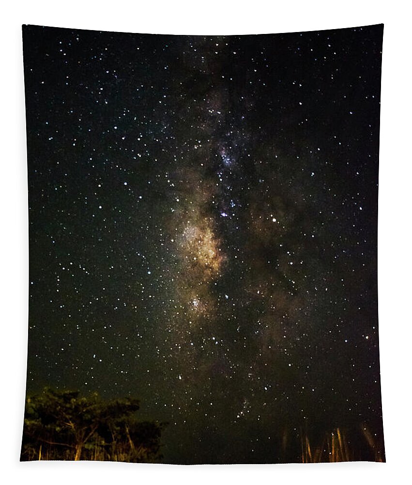 Milky Way Tapestry featuring the photograph Milky Way Access by Greg and Chrystal Mimbs