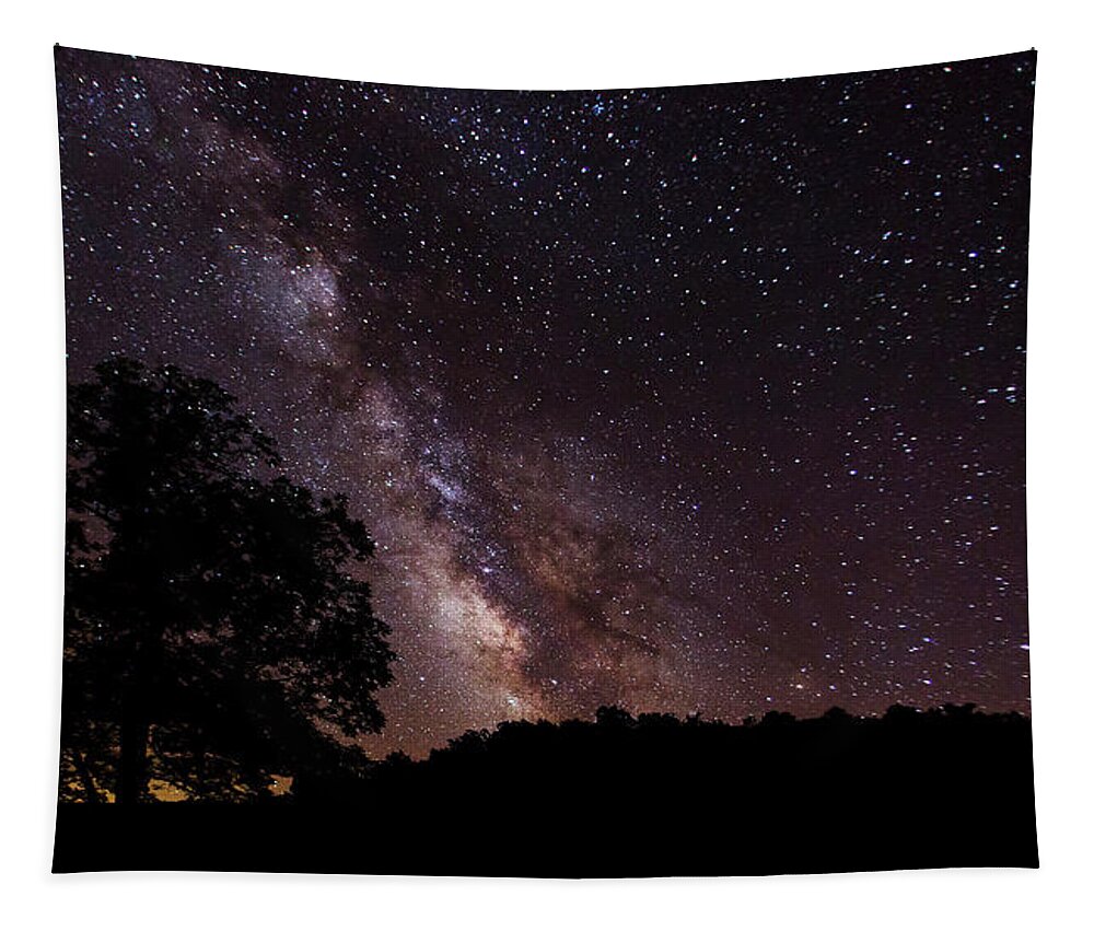 Milky Way Tapestry featuring the photograph Milky Way and the Tree by Eilish Palmer