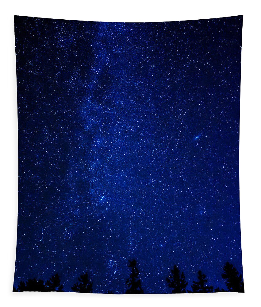 Deep Tapestry featuring the photograph Milky Way and Trees by Pelo Blanco Photo