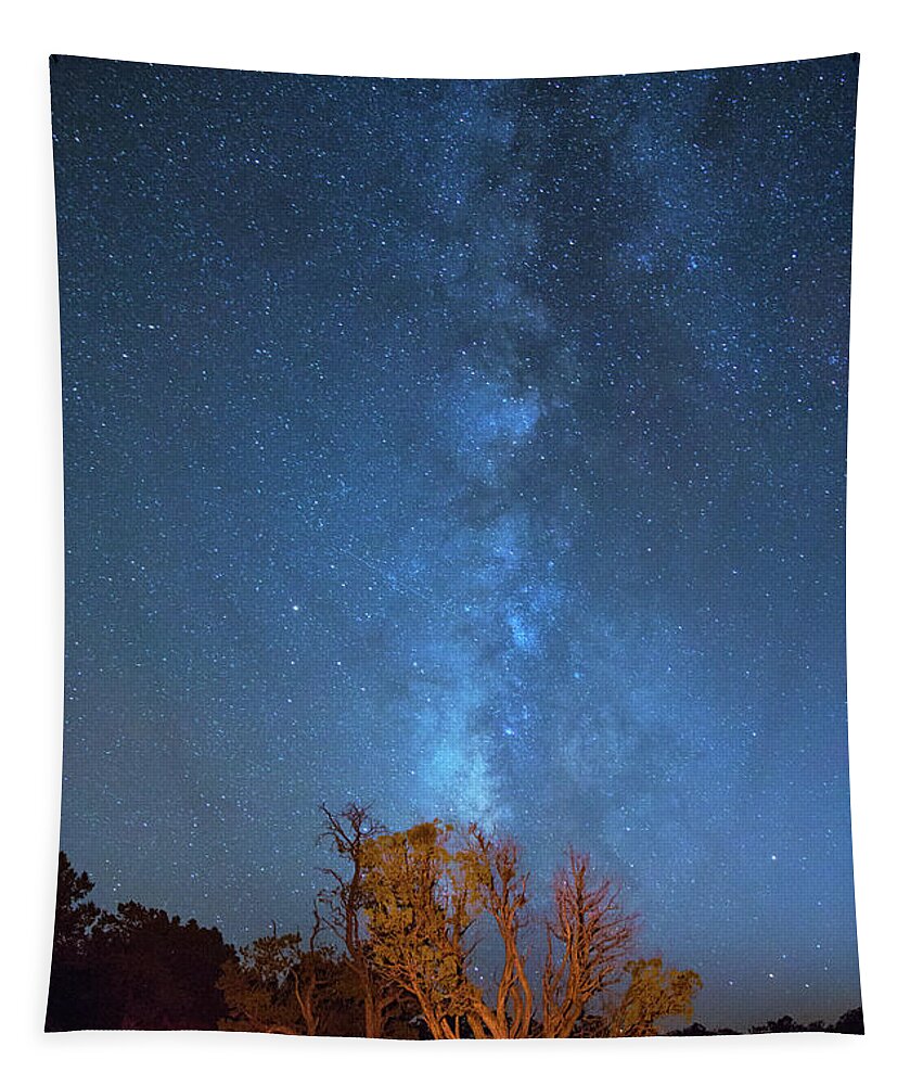 Grand Canyon Stars Tapestry featuring the photograph Milky way over the grand canyon by Kunal Mehra