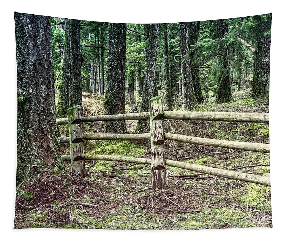 Forest Tapestry featuring the digital art Mima Mounds Forest Fence by Jean OKeeffe Macro Abundance Art