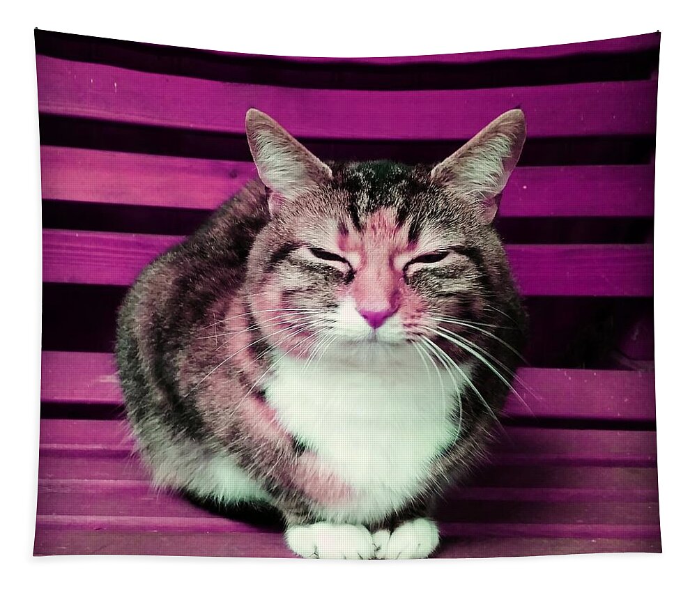 Cat Tapestry featuring the photograph Mindful Cat in Pink by Rowena Tutty