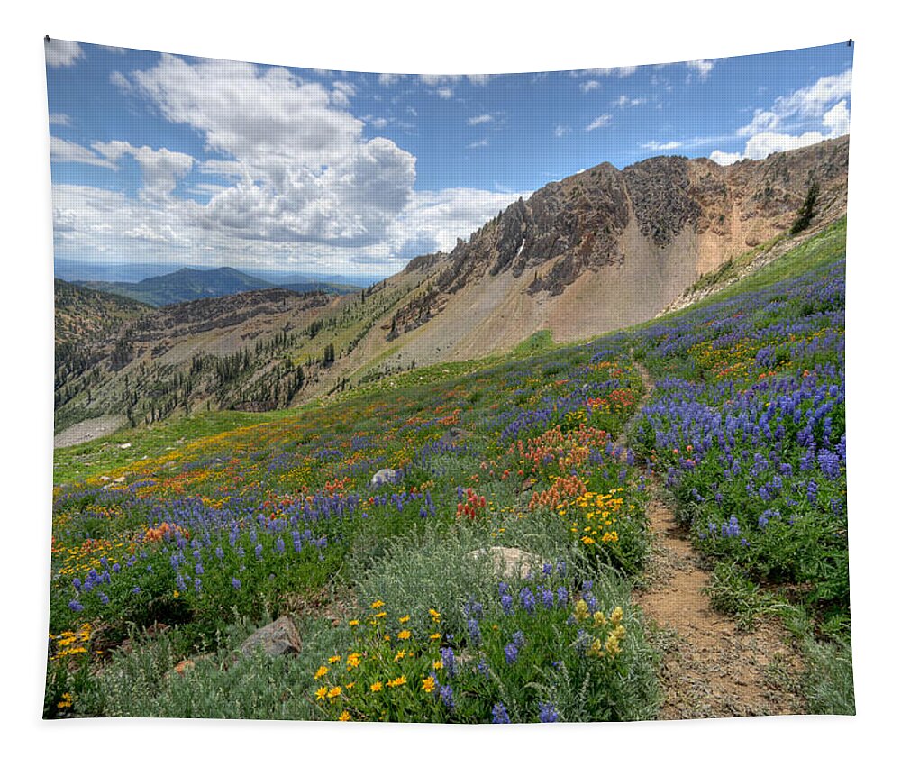 Wildflower Tapestry featuring the photograph Mineral Basin Wildflowers by Brett Pelletier