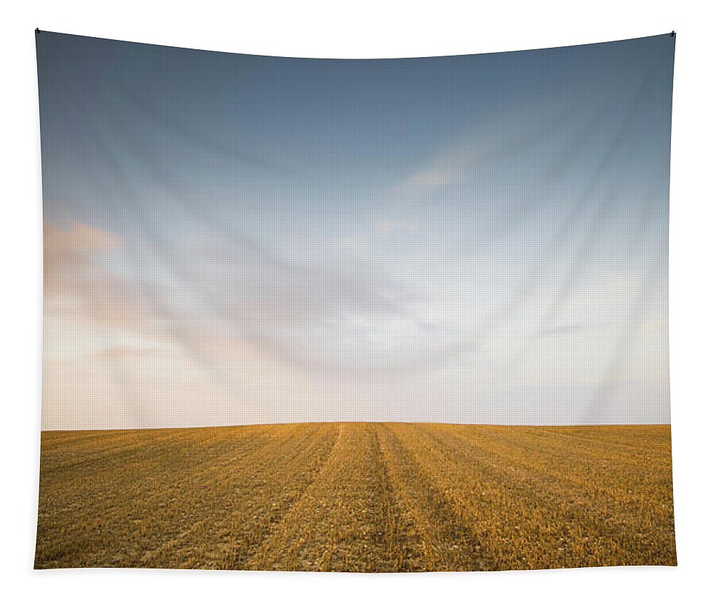 Sunset Tapestry featuring the photograph Minimalistic landscape with Meadow wheat field by Michalakis Ppalis