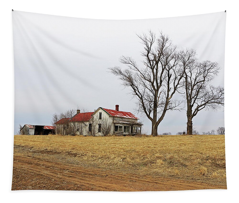 Barn Tapestry featuring the photograph Missouri Silence by Christopher McKenzie