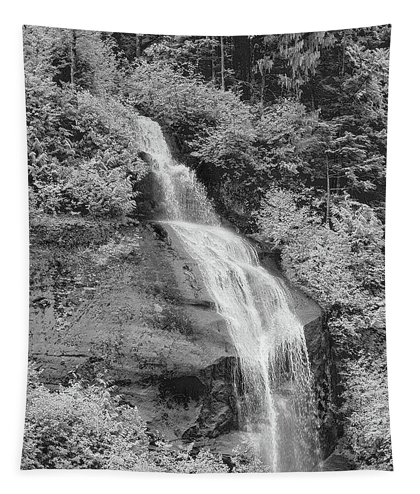Stream Tapestry featuring the photograph Misty Fjord Falls by Peter J Sucy