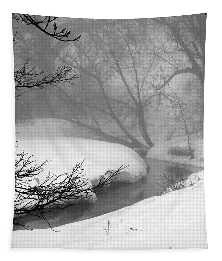 Landscape Tapestry featuring the photograph Misty Morning by Julie Lueders 