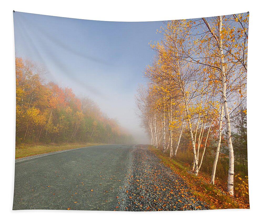Autumn Tapestry featuring the photograph Misty Morning Road by Irwin Barrett