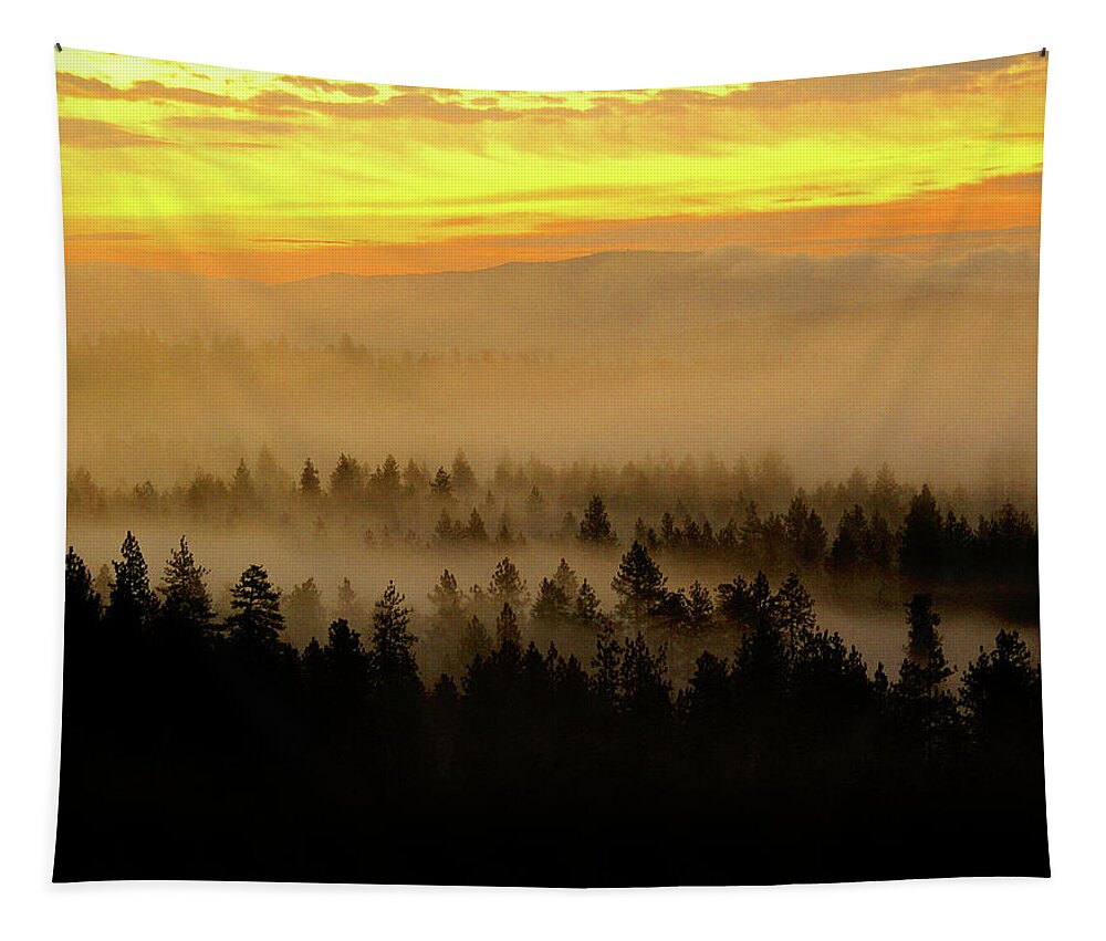 Nature Tapestry featuring the photograph Misty Sunrise by Ben Upham III