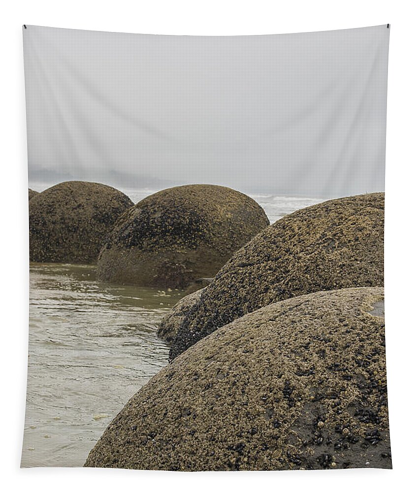 Balls Tapestry featuring the photograph Moeraki boulders New Zealand #1 by Patricia Hofmeester