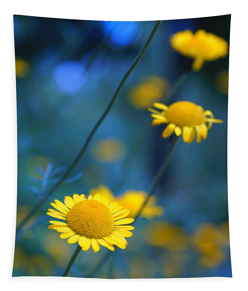 Daisies Tapestry featuring the photograph Momentum 04a by Variance Collections