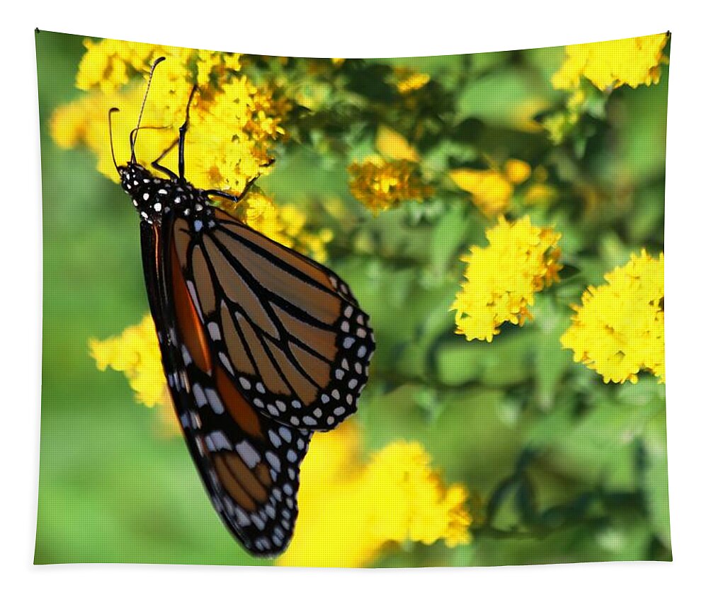Monarch Butterfly Tapestry featuring the photograph Monarch Butterfly II by Carol Montoya