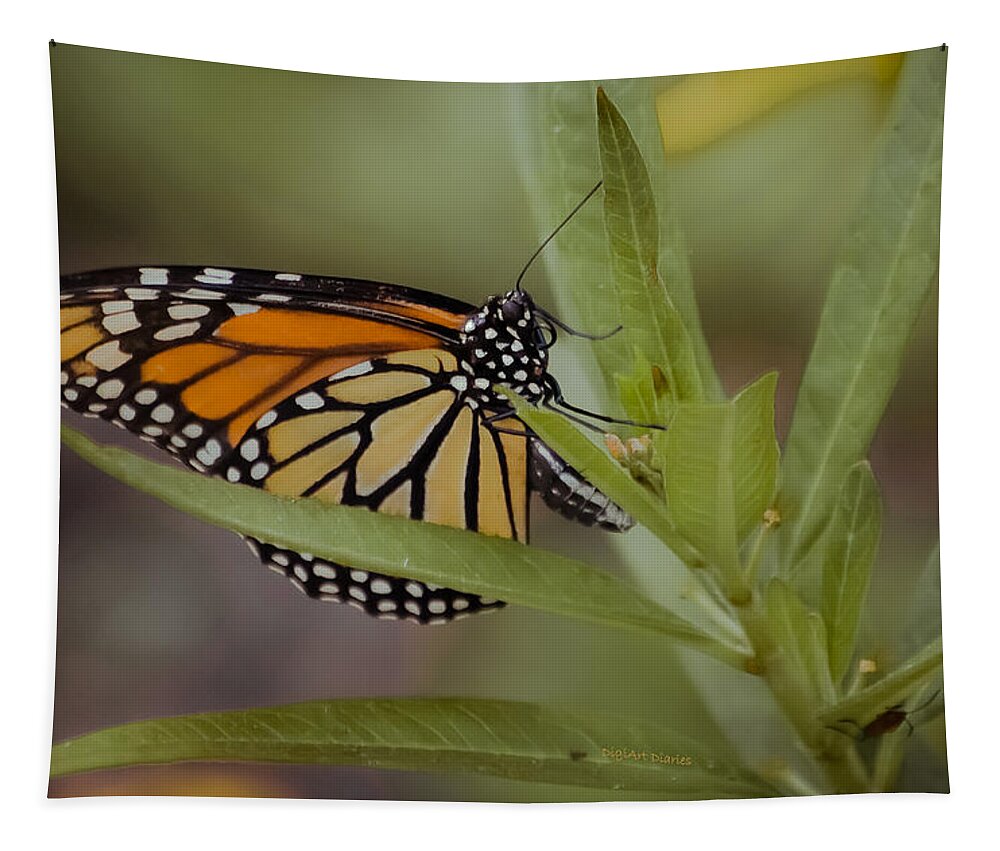 Monarch Tapestry featuring the photograph Monarch Desperation by DigiArt Diaries by Vicky B Fuller