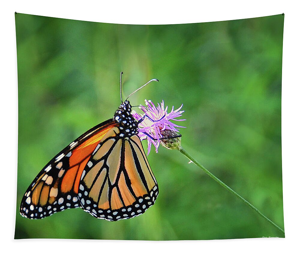 Monarch Butterfly Tapestry featuring the photograph Monarch in the Meadow by Peg Runyan