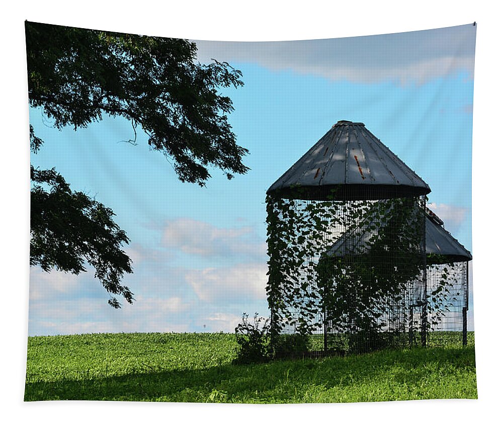 Corn Cribs Tapestry featuring the photograph Corn Cribs in Summer by Tana Reiff