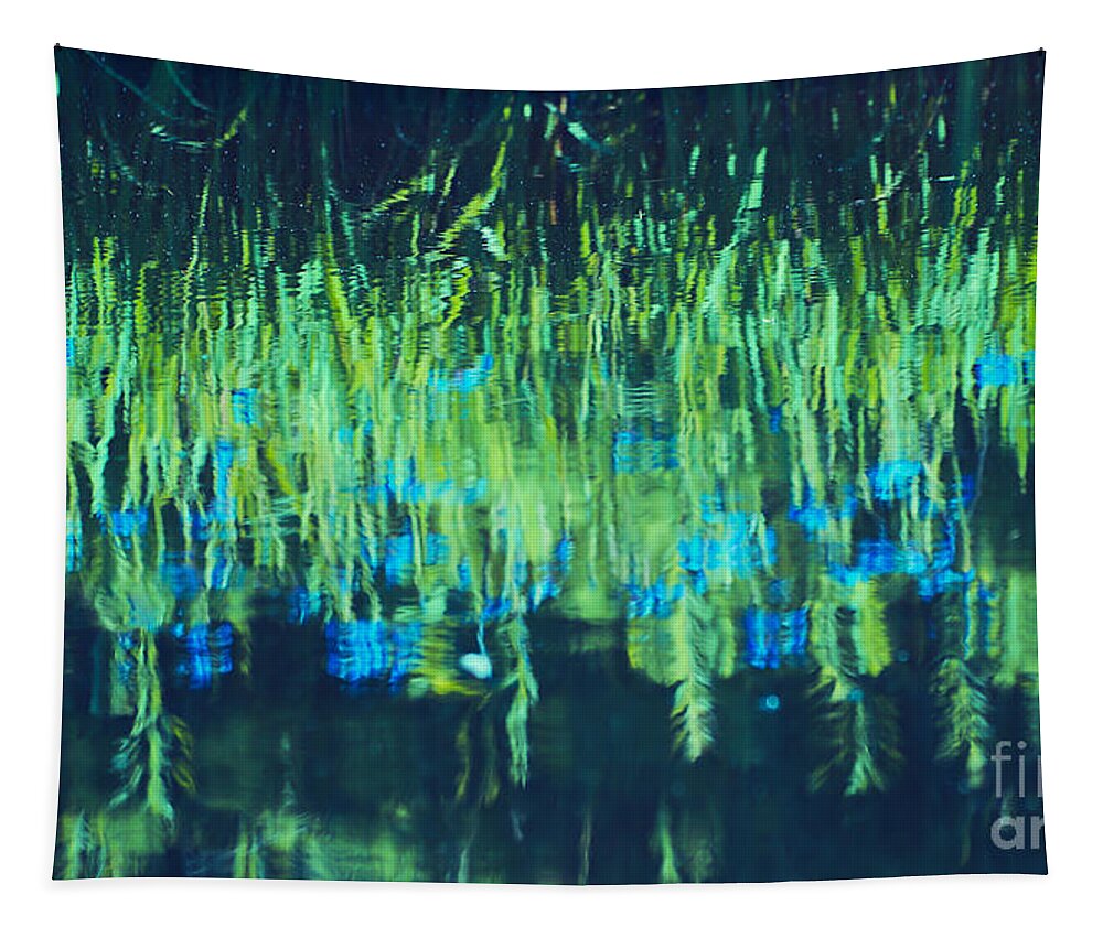 Lake Tapestry featuring the photograph Monetta by Aimelle Ml