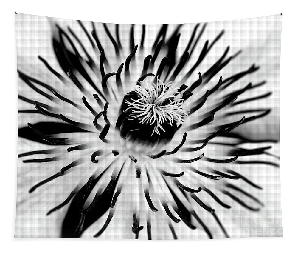 Clematis Tapestry featuring the photograph Mono Clematis by Baggieoldboy