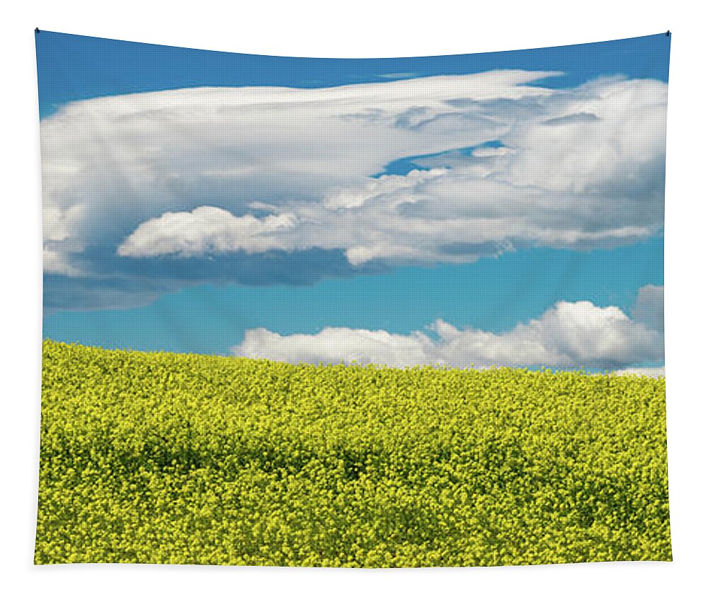 Montana Tapestry featuring the photograph Montana Sky by Darren White