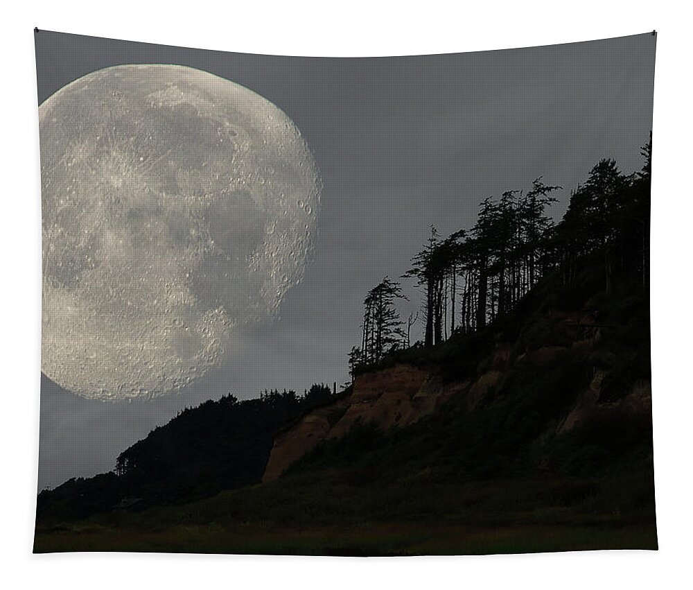 Landscape Tapestry featuring the photograph Moon at Roosevelt Beach WA by Bob Cournoyer