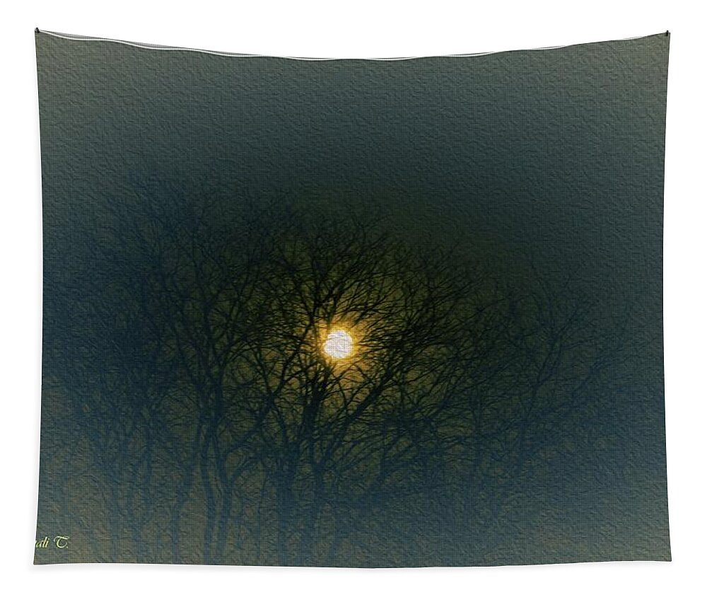 Moon In Silhouette Tapestry featuring the photograph Moon in Silhouette by Sonali Gangane