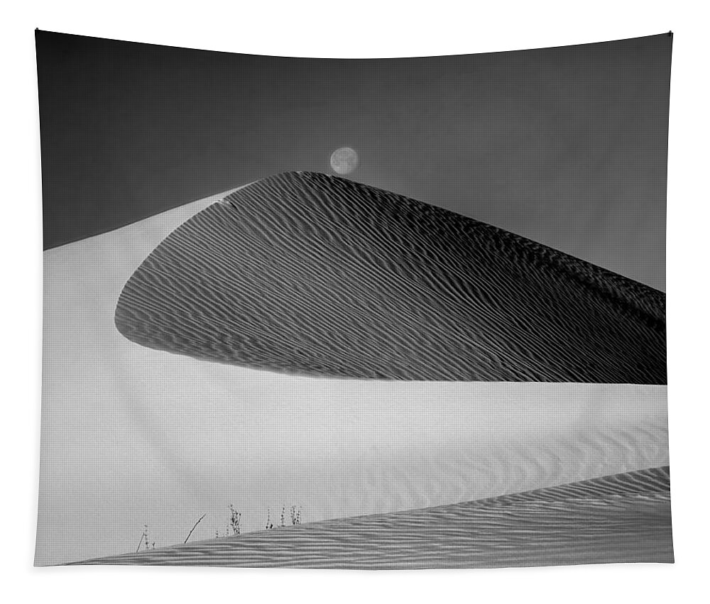 Moon Over Dune Tapestry featuring the photograph 214804-BW-Moon over Dune by Ed Cooper Photography