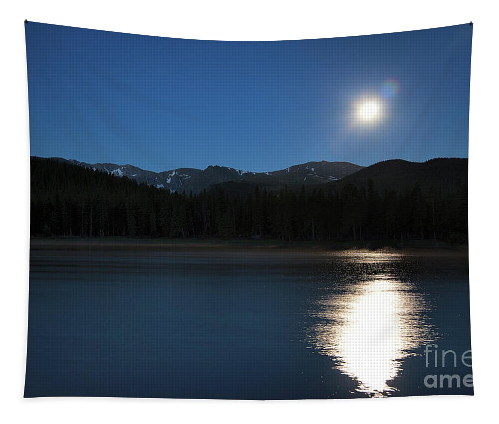 Moonshine Reflection Tapestry featuring the photograph Moon Shine by Jim Garrison