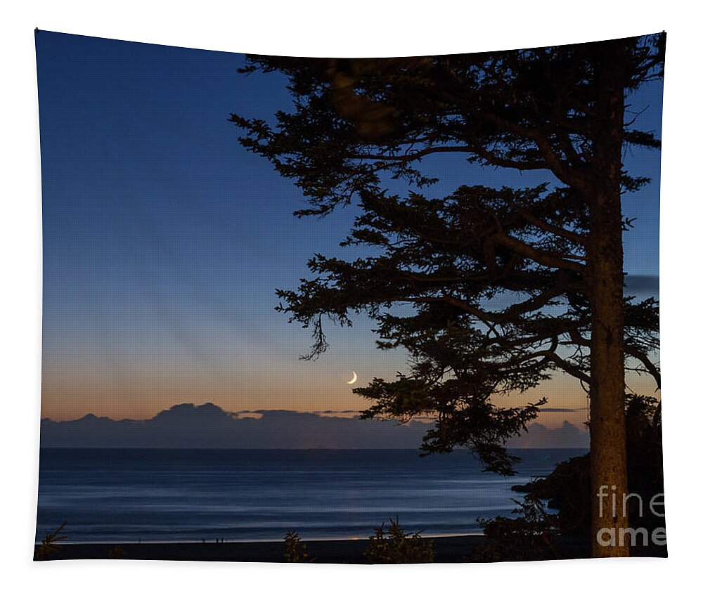 Oregon Tapestry featuring the photograph Moonlight at the beach by Paul Quinn