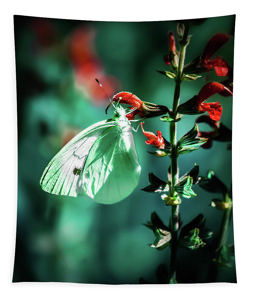 Butterfly Tapestry featuring the photograph Moonlight butterfly by Gerald Kloss