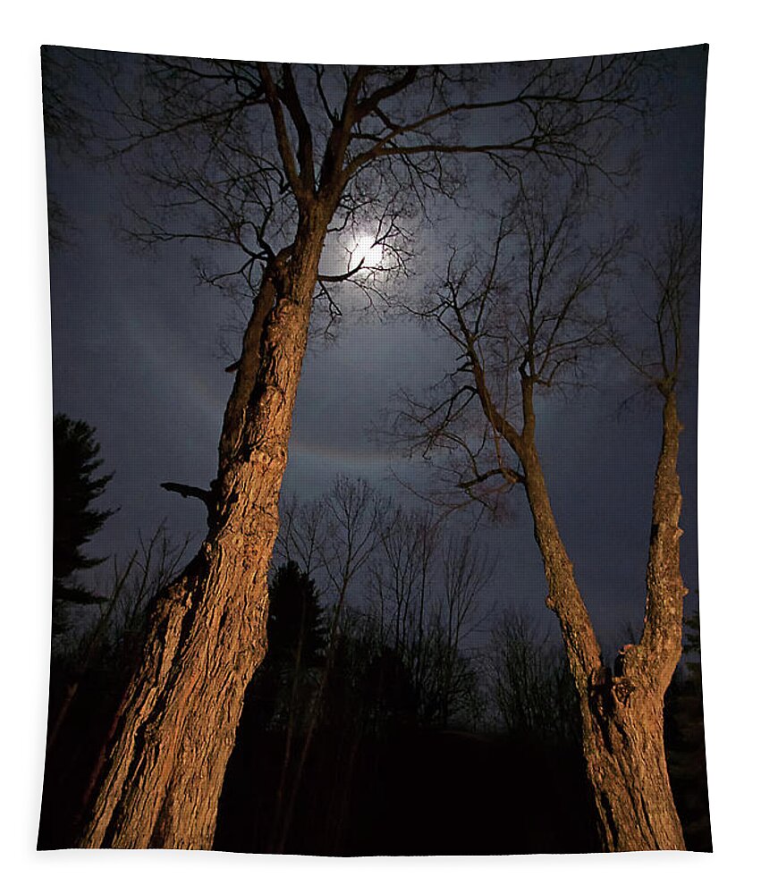 Trees Tapestry featuring the digital art Moonlight Sentinels by Jerry LoFaro