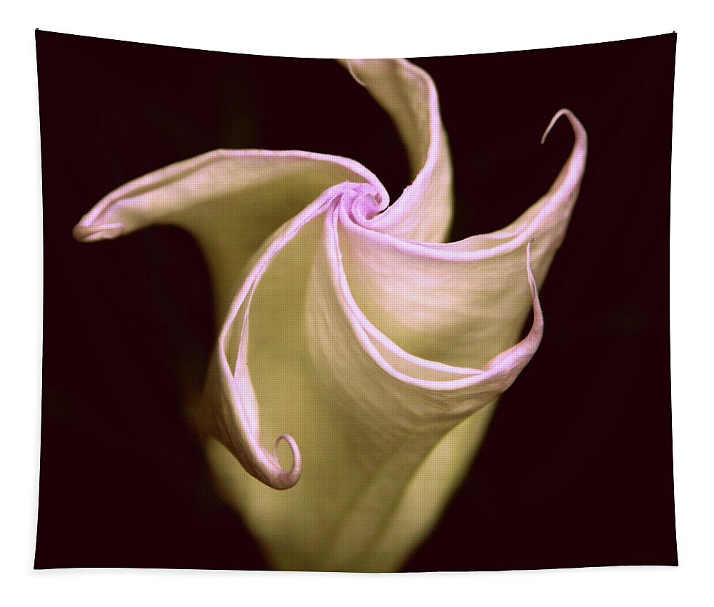 Datura Tapestry featuring the photograph Moonlit Moon Flower by Jessica Jenney
