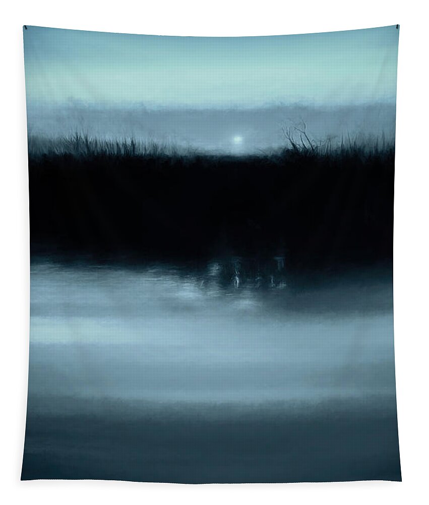 Abstract Tapestry featuring the photograph Moonrise on the Water by Scott Norris
