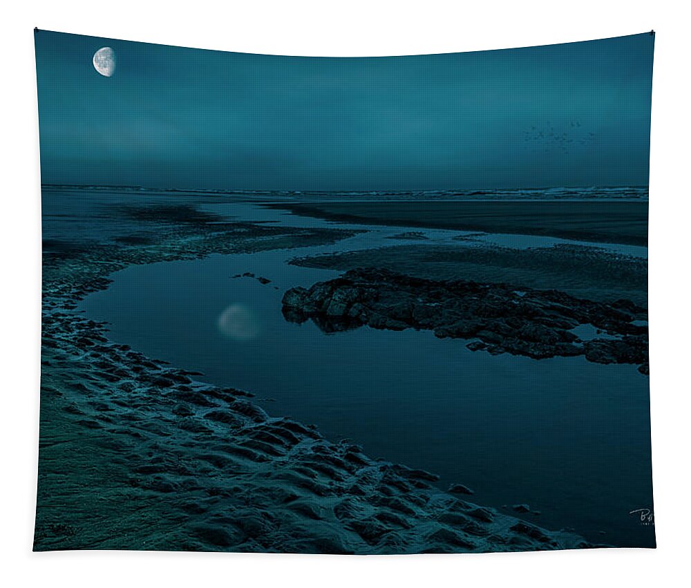 Fine Art Tapestry featuring the photograph MoonScape 4 by Bill Posner