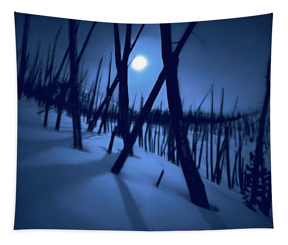 The Walkers Tapestry featuring the photograph Moonshadows by The Walkers