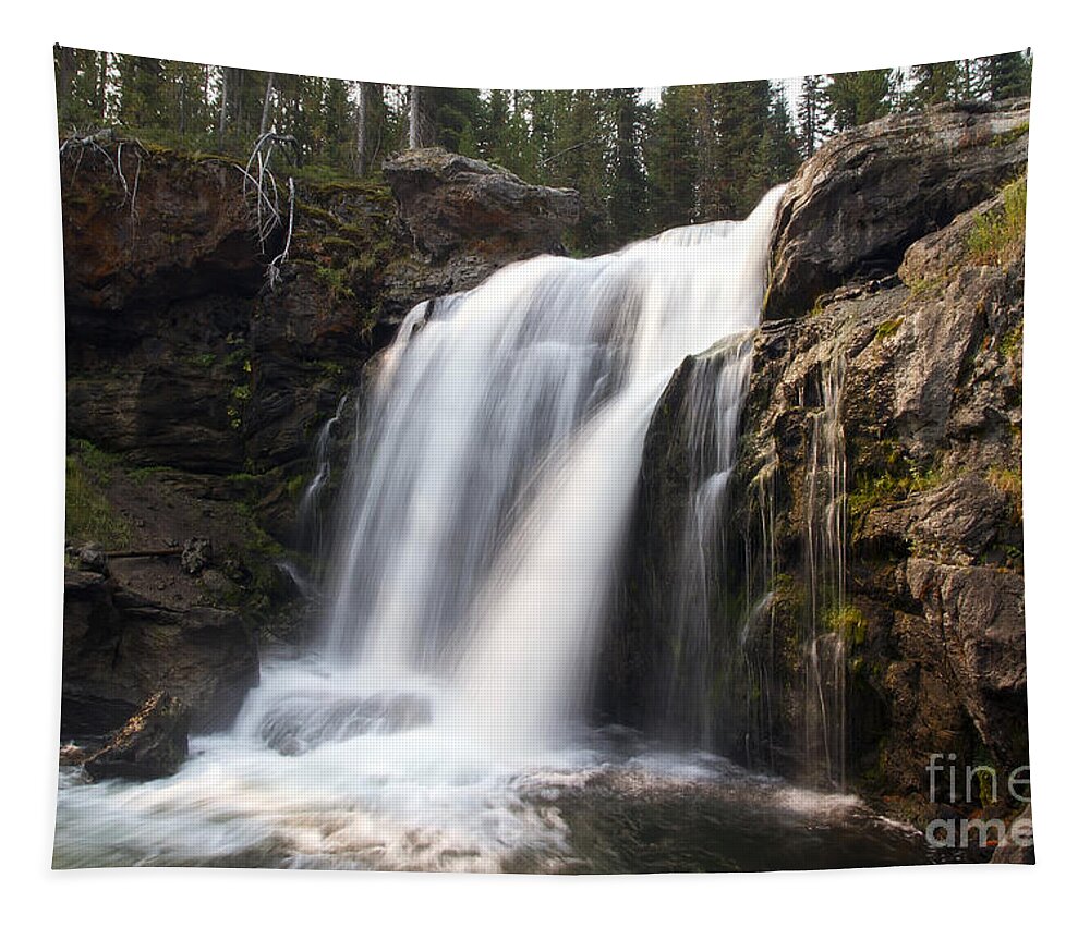 Moose Falls Tapestry featuring the photograph Moose Falls Yellowstone National Park by Teresa Zieba