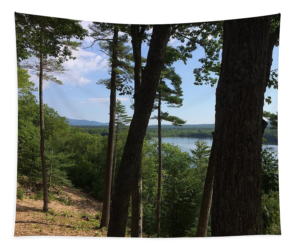 Landscape Tapestry featuring the photograph Morning at Mirror Lake by Anjel B Hartwell
