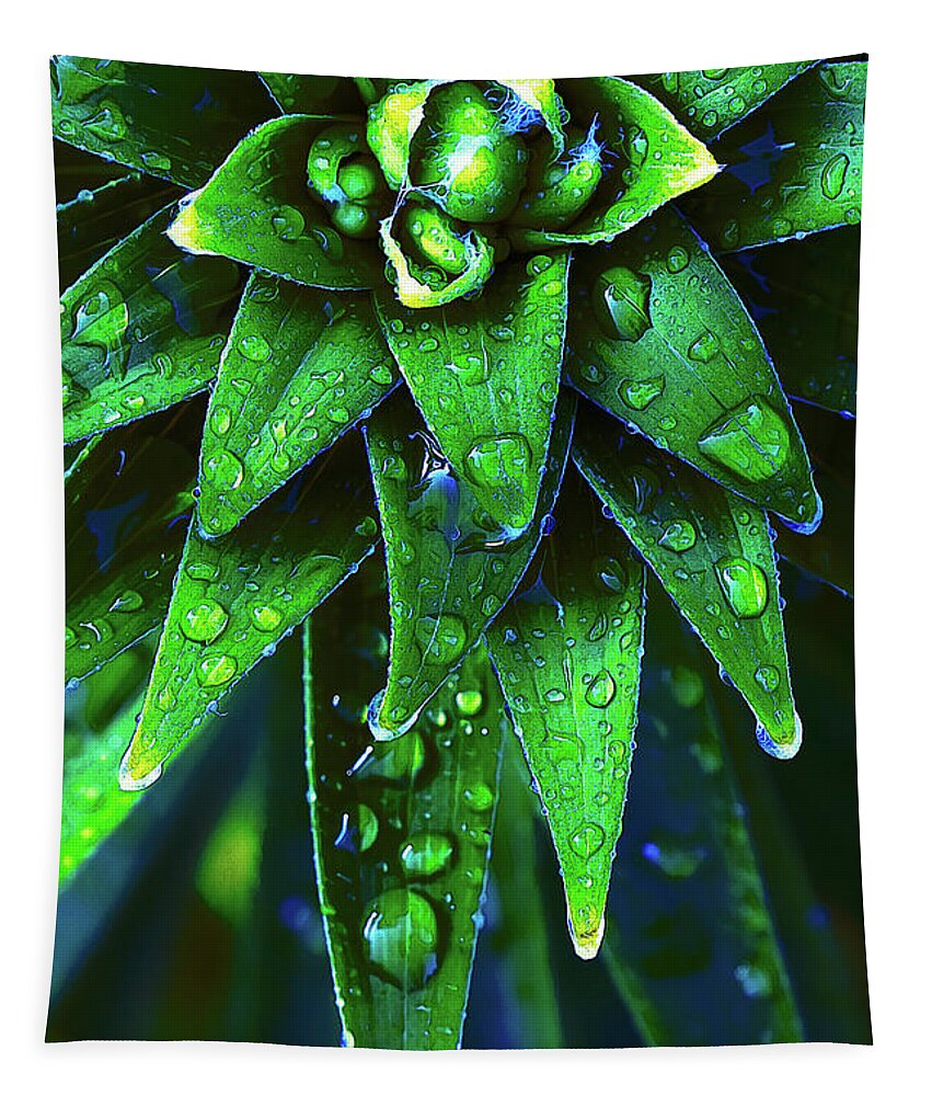 Plant Tapestry featuring the photograph Morning Dew On Plant by Phil Perkins