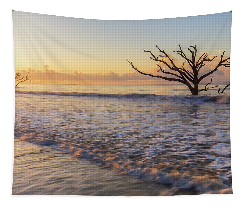 South Carolina Tapestry featuring the photograph Morning glow at Botany Bay beach by Stefan Mazzola