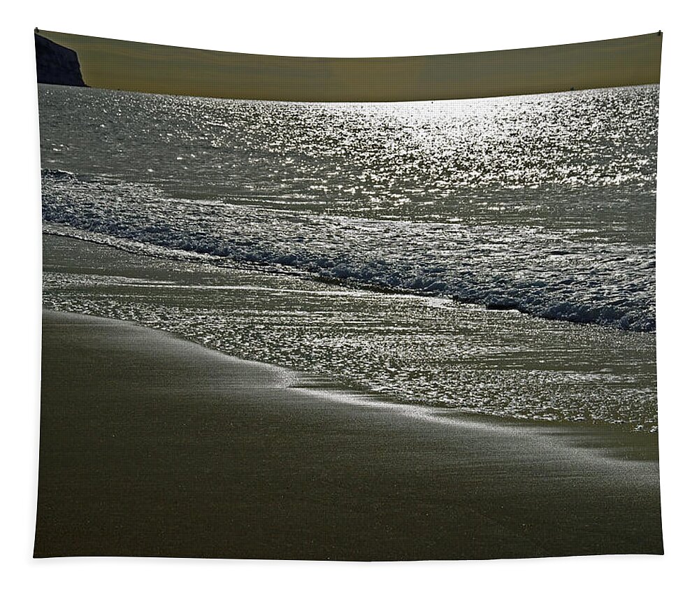 Europe Tapestry featuring the photograph Morning Light on Sandown Beach by Rod Johnson
