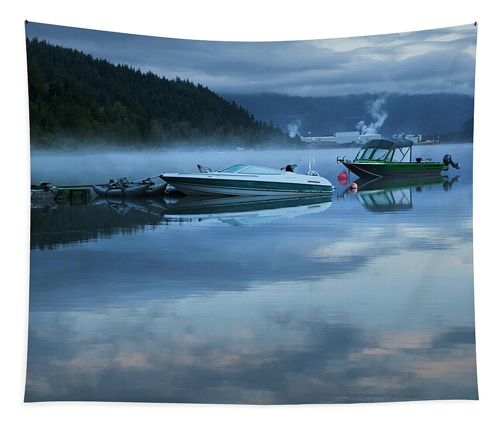 Theresa Tahara Tapestry featuring the photograph Morning Mist Adams Lake by Theresa Tahara