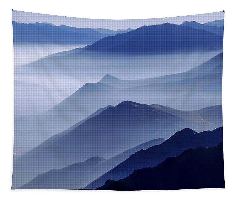 Morning Mist Tapestry featuring the photograph Morning Mist by Chad Dutson