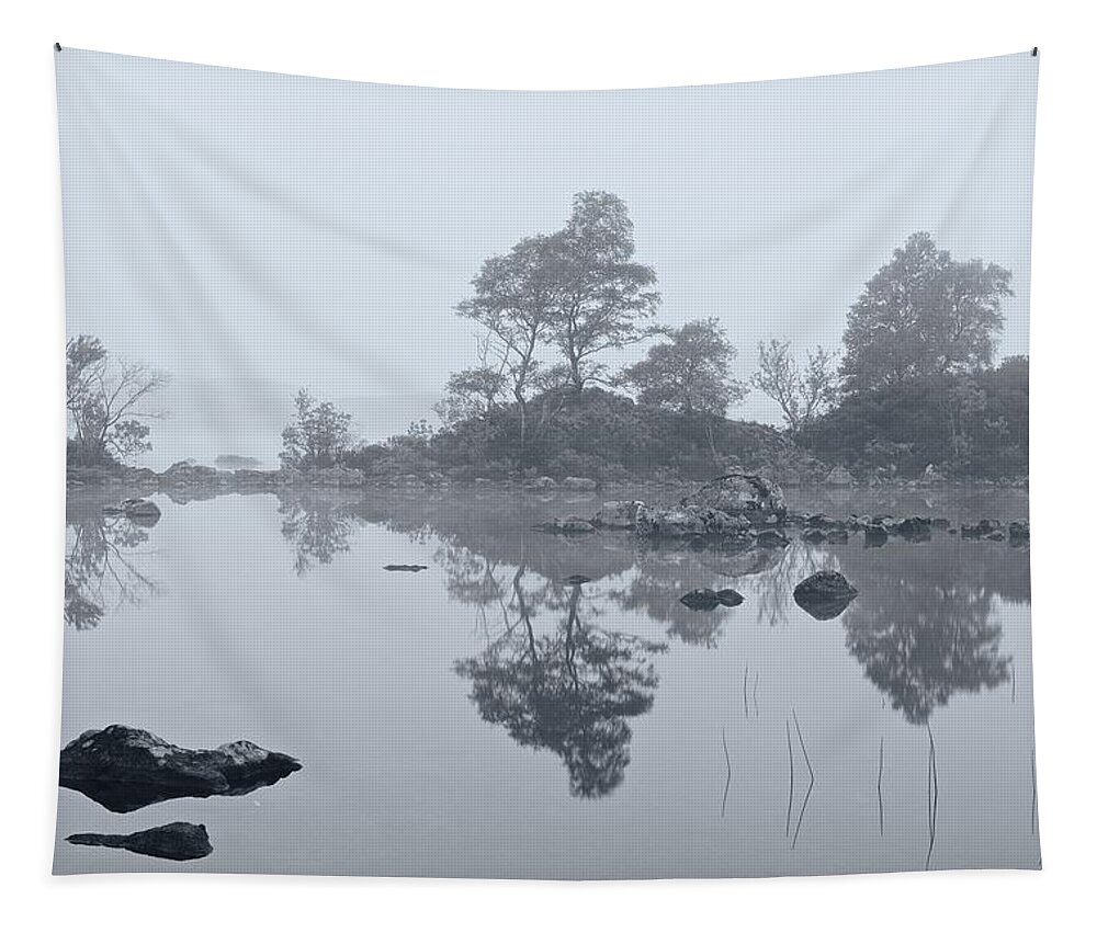 Black Mount Tapestry featuring the photograph Morning mist on Rannoch Moor by Stephen Taylor